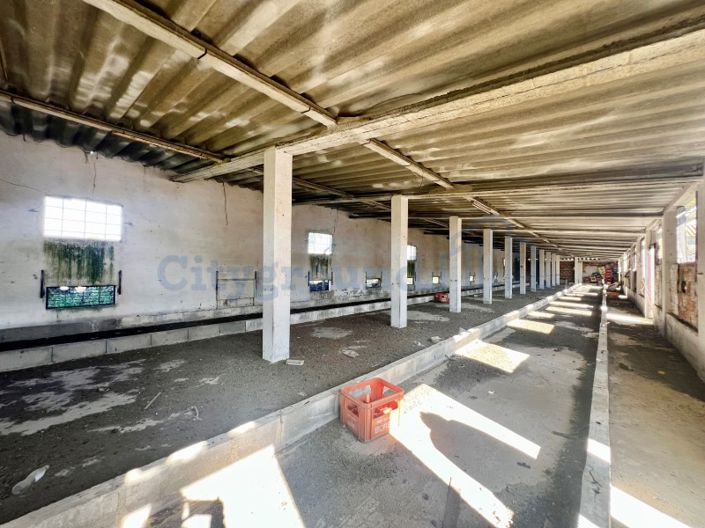 Image No.51-Ferme de 14 chambres à vendre à Palmela