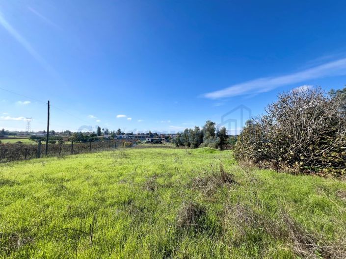 Image No.52-Ferme de 14 chambres à vendre à Palmela