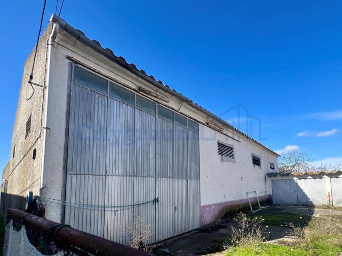 Image No.53-Ferme de 14 chambres à vendre à Palmela
