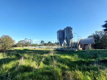 idd5639c01-0000-0500-0000-000015a4b913