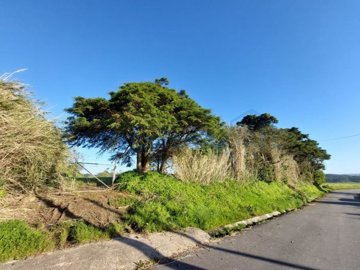 idd5639c01-0000-0500-0000-000015a4b917