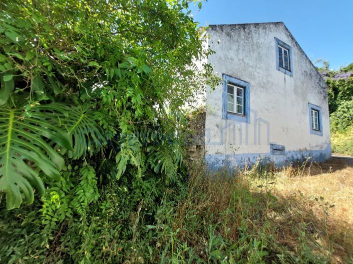 Image No.28-Maison de 3 chambres à vendre à Caldas da Rainha