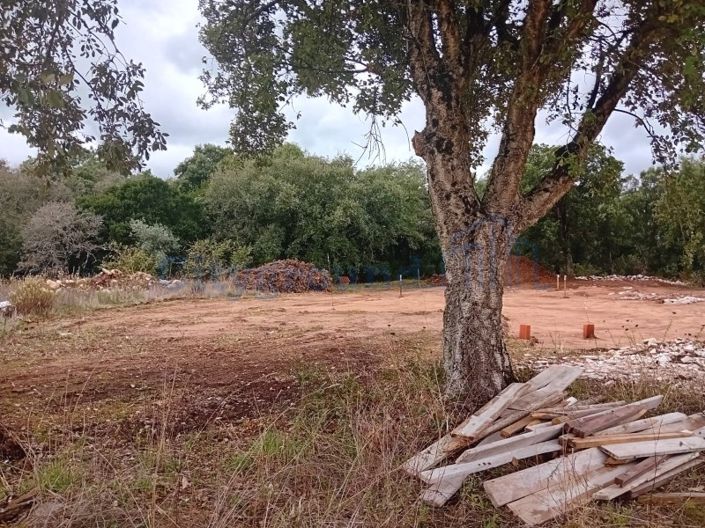 Image No.17-3 Bed House for sale