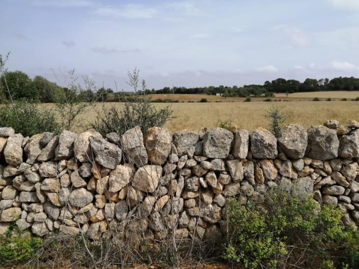 Image No.8-Terre à vendre à Felanitx