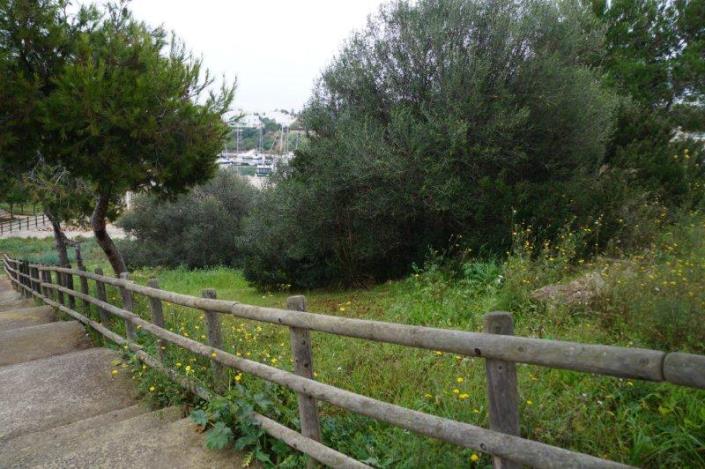 Image No.2-Terrain à vendre à Cala d'Or