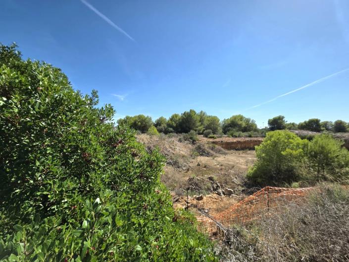Image No.6-Terre à vendre à Santanyí