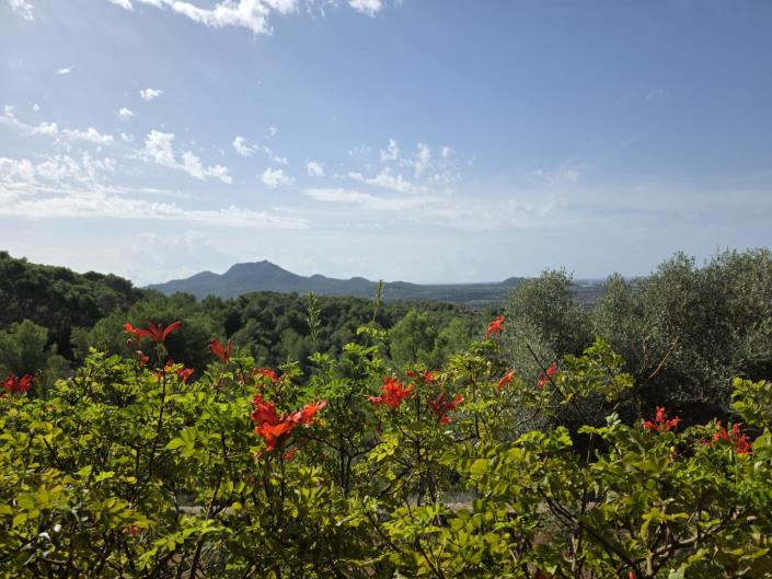 Image No.3-Maison de campagne de 3 chambres à vendre à Felanitx