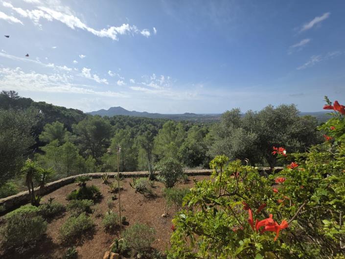 Image No.22-Maison de campagne de 3 chambres à vendre à Felanitx