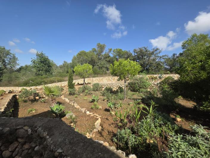 Image No.18-Maison de campagne de 3 chambres à vendre à Felanitx