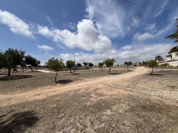 WhatsApp-Image-2024-05-07-at-14-57-13