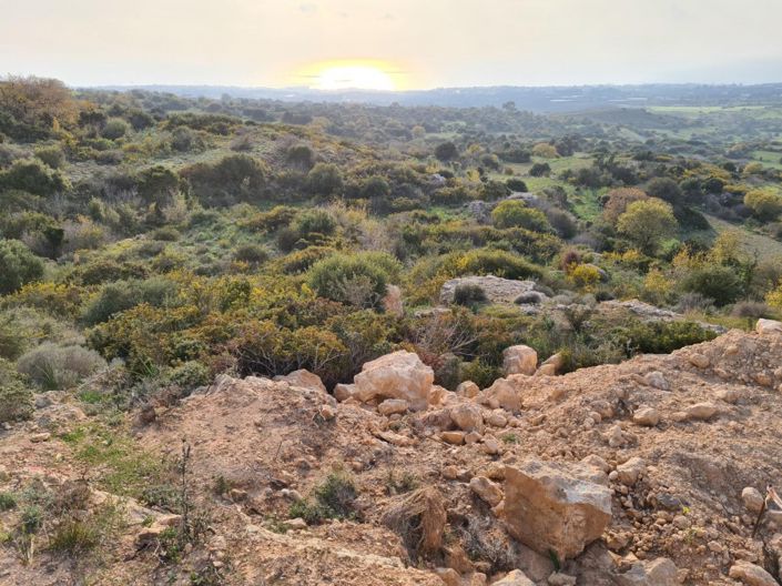 Image No.3-Terre à vendre à Tremithousa