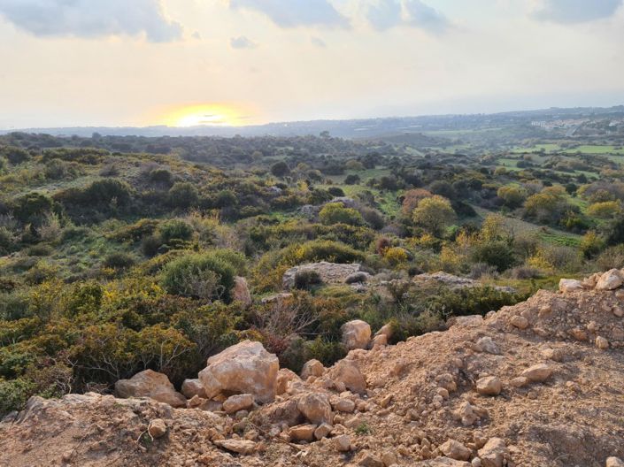 Image No.4-Terre à vendre à Tremithousa