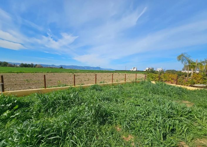 Image No.8-Villa à vendre à Polis Chrysochous