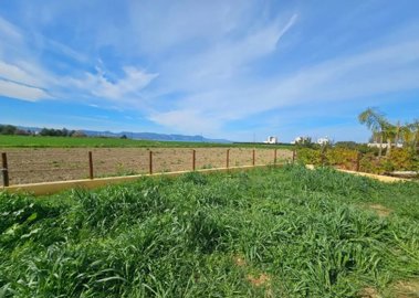 Detached Villa For Sale  in  Polis Chrysochous