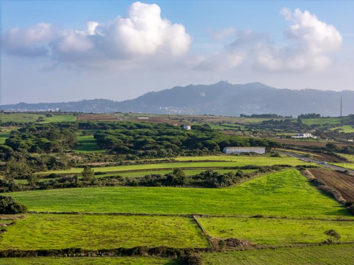 Image No.25-Maison / Villa de 3 chambres à vendre à Sintra