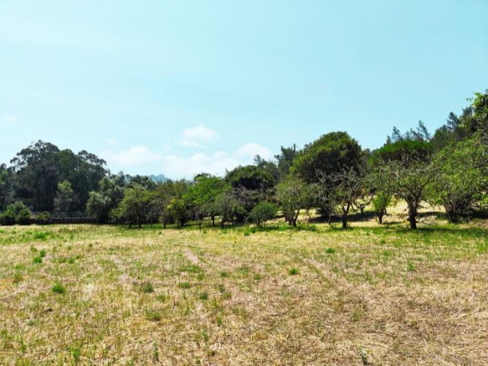 Image No.41-Maison de campagne de 5 chambres à vendre à Sintra