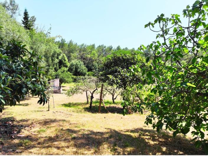 Image No.40-Maison de campagne de 5 chambres à vendre à Sintra