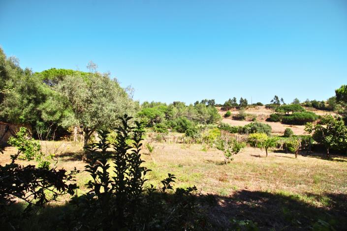 Image No.37-Maison de campagne de 5 chambres à vendre à Sintra