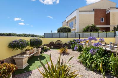 Engel_AdosCunhados-10