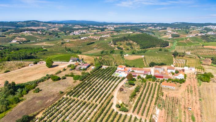 Image No.6-Villa de 5 chambres à vendre à A dos Francos