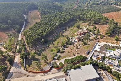 Cadaval-W-046KX9_00041