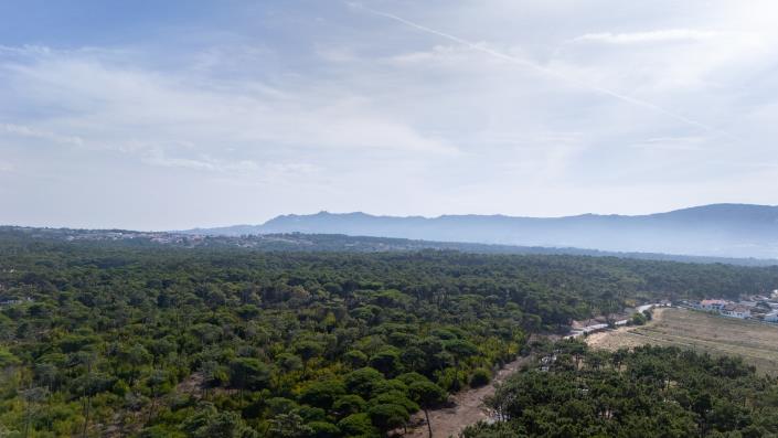 Image No.8-Terre à vendre à Colares