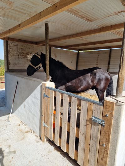 Image No.18-Villa de 5 chambres à vendre à Bombarral