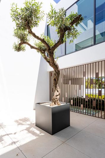 Image No.7-3 Bed Property for sale