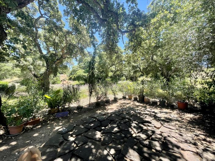 Image No.47-Propriété de 5 chambres à vendre à San Roque