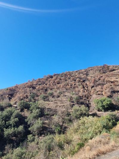 Image No.11-Terre à vendre à Almuñécar