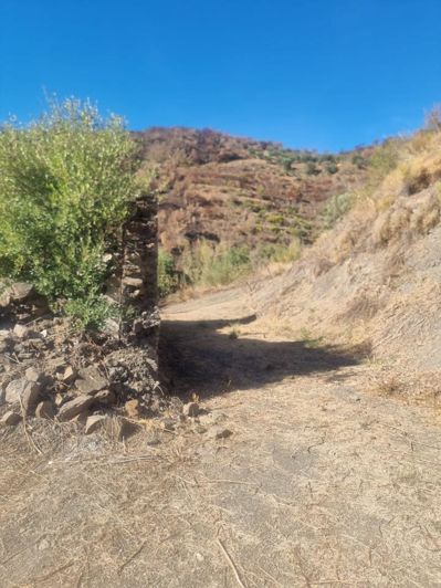 Image No.4-Terre à vendre à Almuñécar