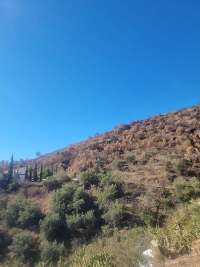 Image No.8-Terre à vendre à Almuñécar