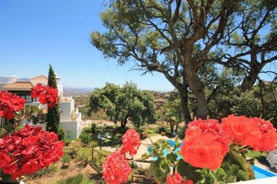 3982-677732-78d1f4f8b6655591b02d22fabb36a692d