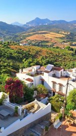 3982-707532-78d1f4f8b6655591b02d22fabb36a692d