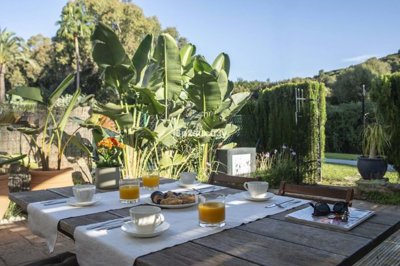 3982-732769-78d1f4f8b6655591b02d22fabb36a692d