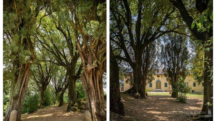Image No.16-Villa de 13 chambres à vendre à Siena