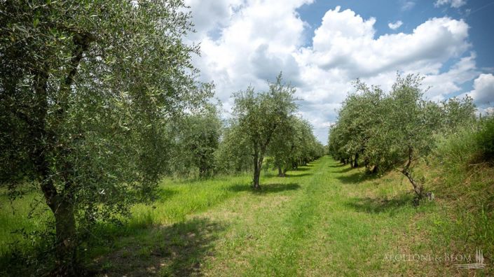 Image No.17-Villa de 13 chambres à vendre à Siena