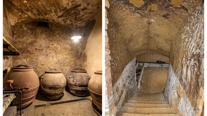 Image No.5-Villa de 13 chambres à vendre à Siena