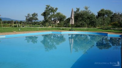 g2019111215374735439526