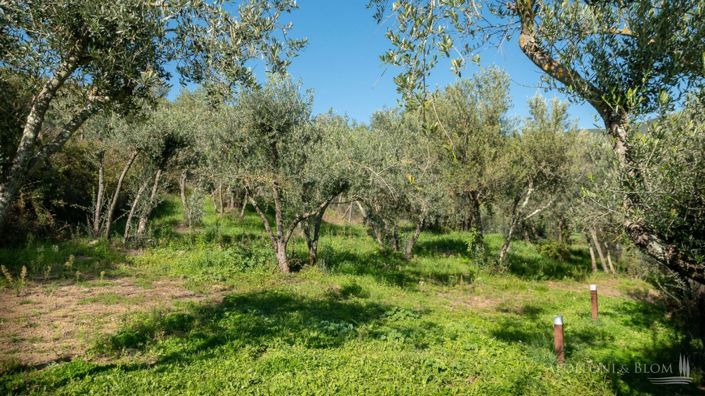 Image No.30-Villa de 5 chambres à vendre à Cortona