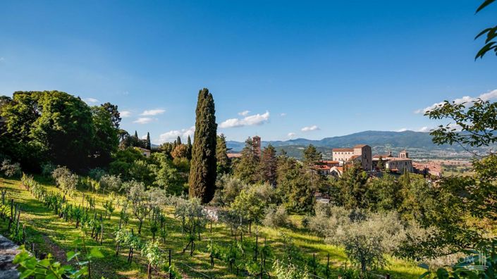 Image No.30-8 Bed Villa for sale