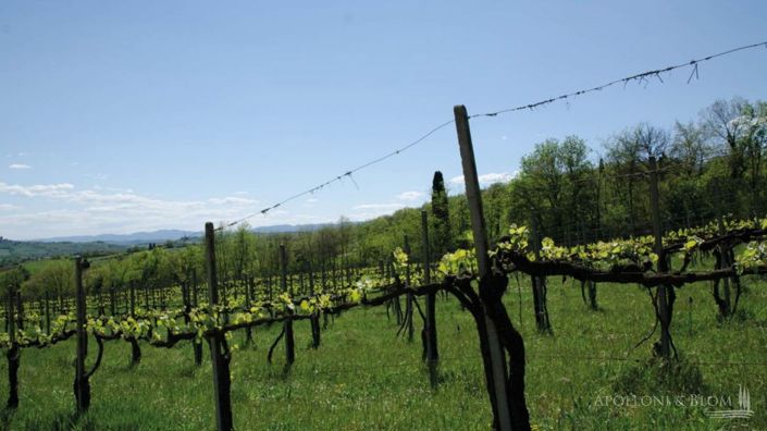 Image No.25-11 Bed Apartment for sale