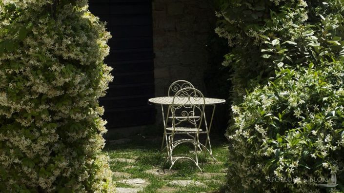 Image No.19-Appartement de 13 chambres à vendre à Castellina in Chianti