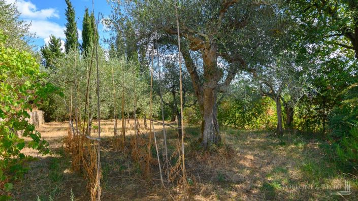 Image No.21-5 Bed Country House for sale