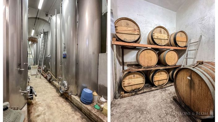 Image No.23-11 Bed Vineyard for sale