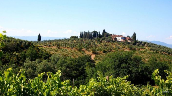 Image No.8-11 Bed Vineyard for sale