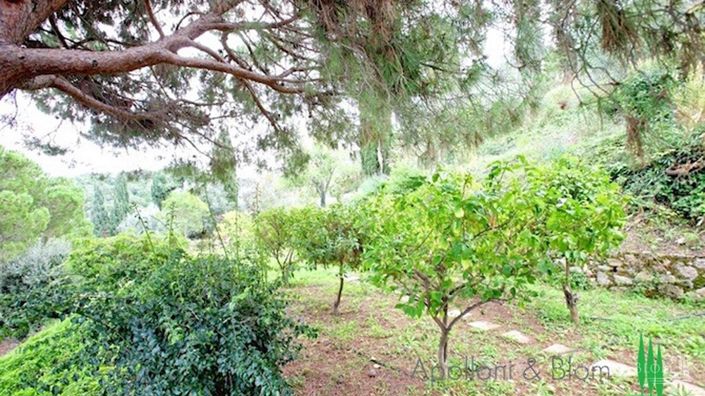 Image No.18-7 Bed Apartment for sale