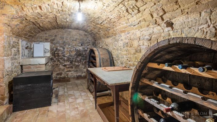 Image No.24-Appartement de 10 chambres à vendre à Castelnuovo Berardenga