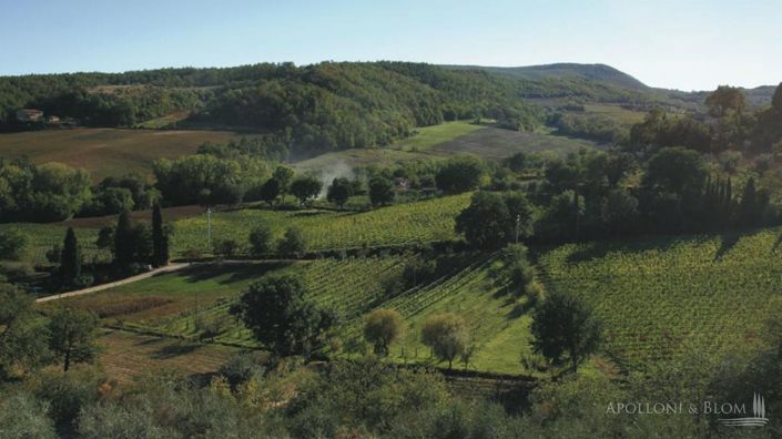 Image No.13-2 Bed Vineyard for sale