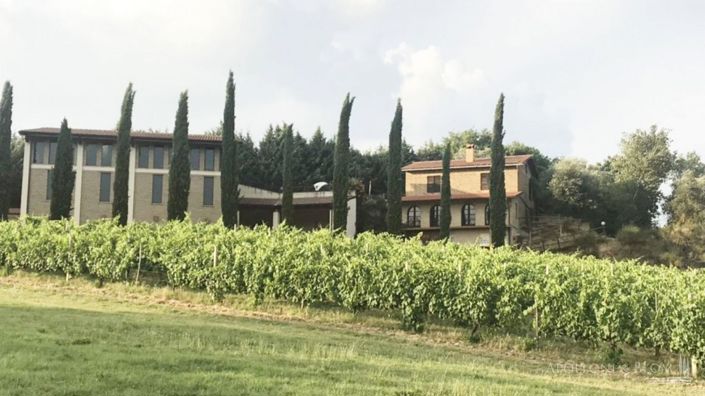 Image No.6-2 Bed Vineyard for sale